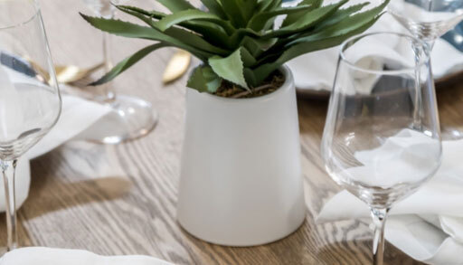 table top with wine glasses and a decorative plant